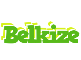 Belkize picnic logo