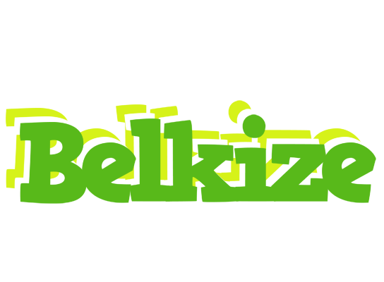 Belkize picnic logo