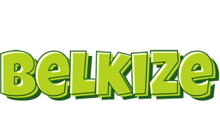 Belkize summer logo