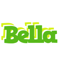 Bella picnic logo