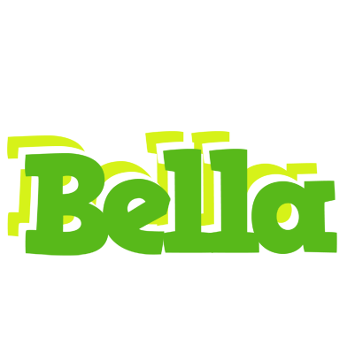 Bella picnic logo