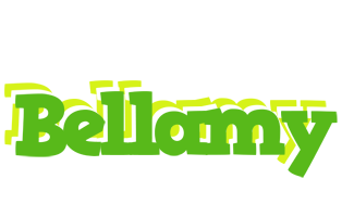 Bellamy picnic logo