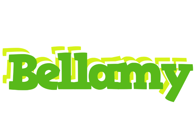 Bellamy picnic logo