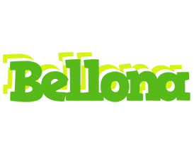 Bellona picnic logo