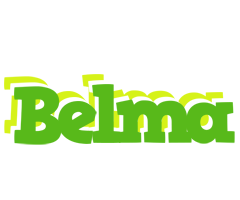 Belma picnic logo