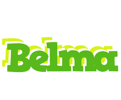 Belma picnic logo