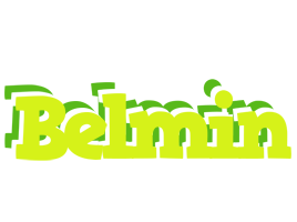 Belmin citrus logo