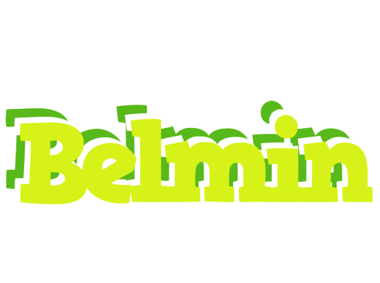 Belmin citrus logo