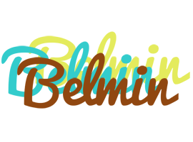 Belmin cupcake logo