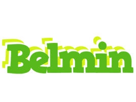 Belmin picnic logo