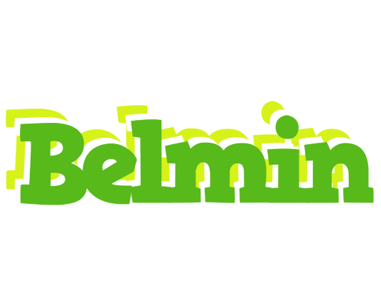 Belmin picnic logo