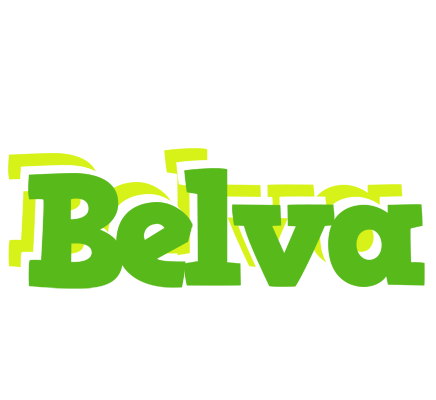 Belva picnic logo