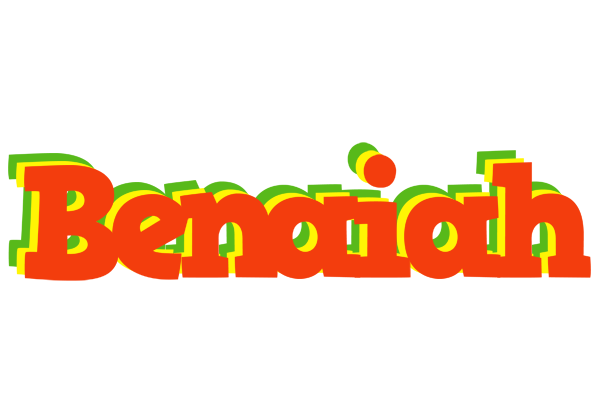 Benaiah bbq logo