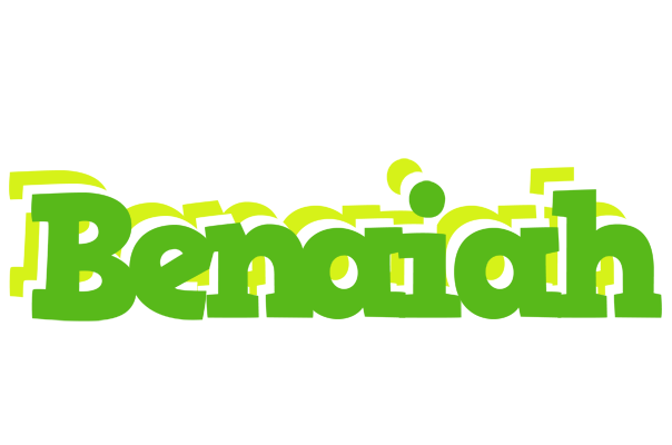 Benaiah picnic logo