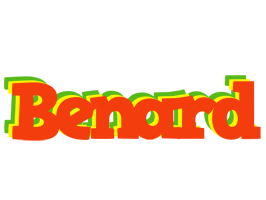 Benard bbq logo