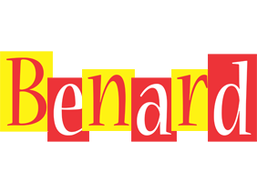 Benard errors logo