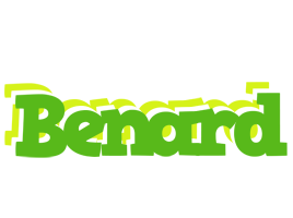 Benard picnic logo