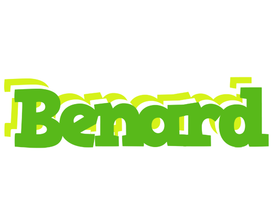 Benard picnic logo