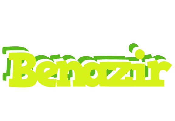 Benazir citrus logo
