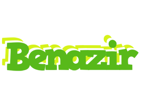 Benazir picnic logo