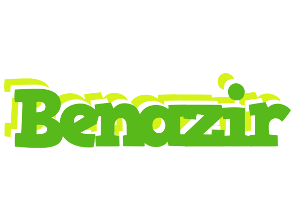 Benazir picnic logo