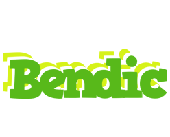 Bendic picnic logo