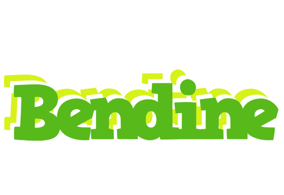 Bendine picnic logo