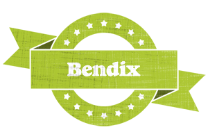 Bendix change logo