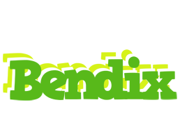 Bendix picnic logo