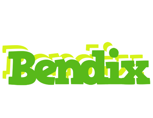 Bendix picnic logo