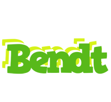 Bendt picnic logo