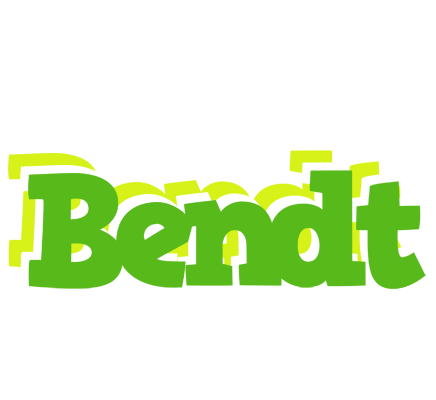 Bendt picnic logo
