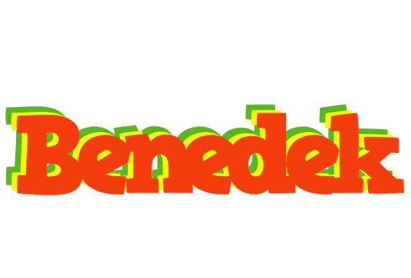 Benedek bbq logo
