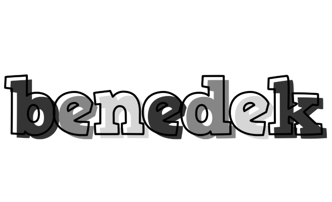 Benedek night logo