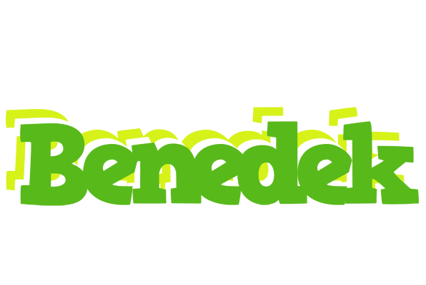 Benedek picnic logo