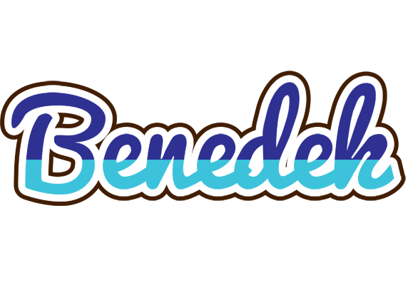 Benedek raining logo