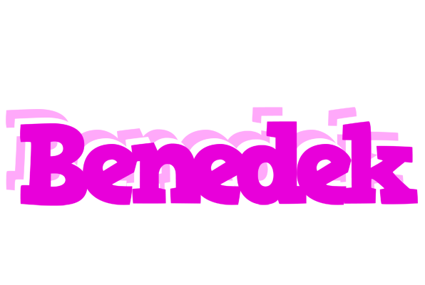 Benedek rumba logo