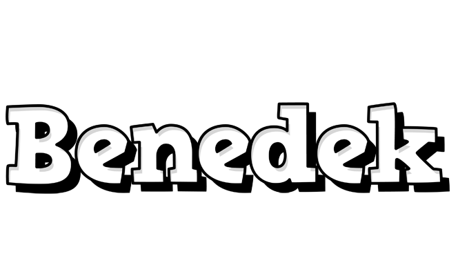 Benedek snowing logo