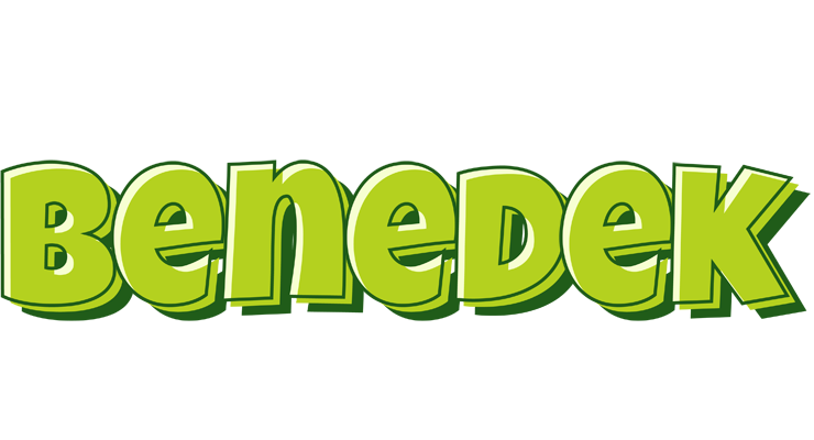 Benedek summer logo