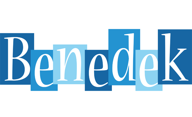 Benedek winter logo