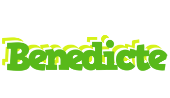 Benedicte picnic logo