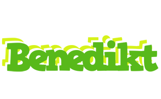 Benedikt picnic logo