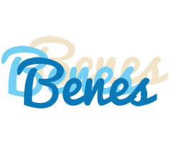 Benes breeze logo