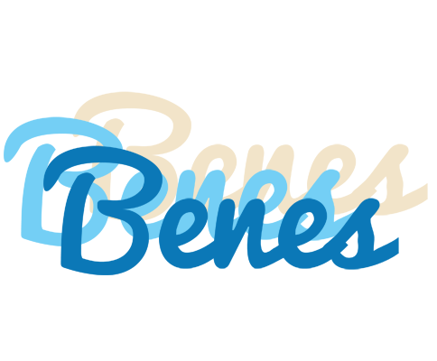 Benes breeze logo