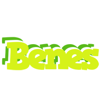 Benes citrus logo