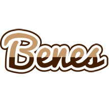 Benes exclusive logo