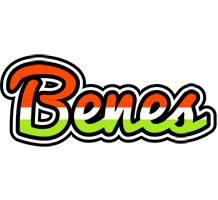 Benes exotic logo