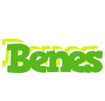 Benes picnic logo