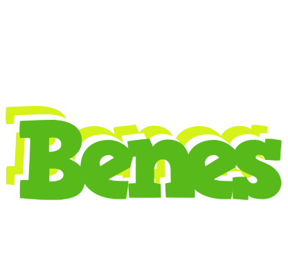Benes picnic logo