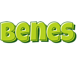 Benes summer logo